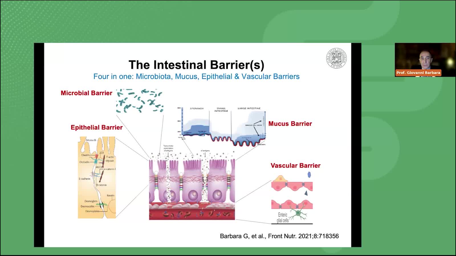 Leaky gut quando la barriera intestinale è alterata - Parte 2