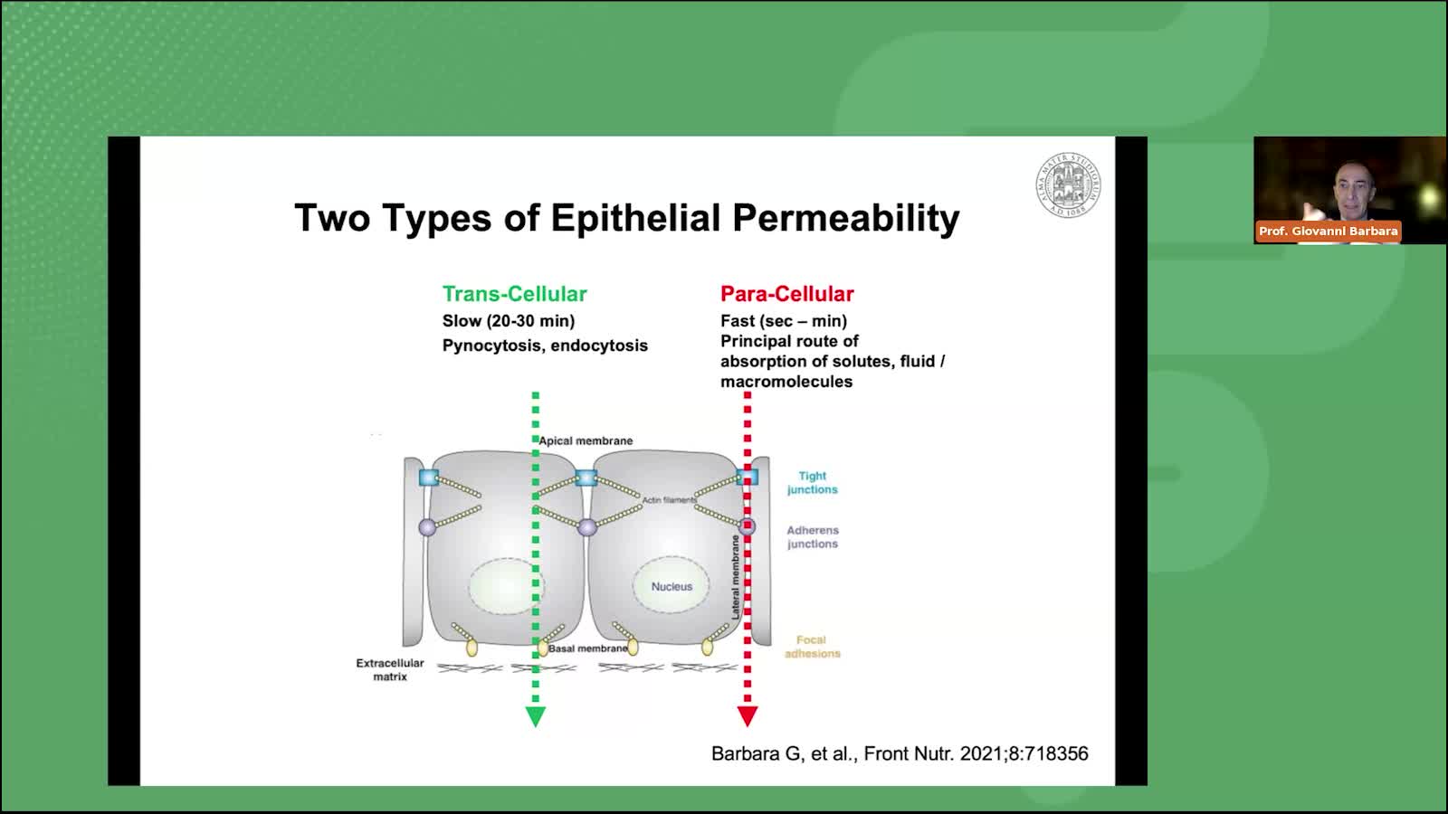 Leaky gut quando la barriera intestinale è alterata - Parte 3