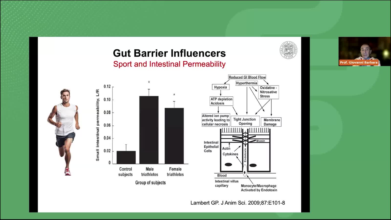 Leaky gut quando la barriera intestinale è alterata - Parte 5